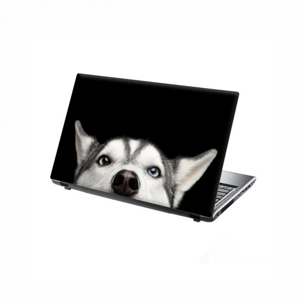 Laptop Skin Peeping Husky Dog
